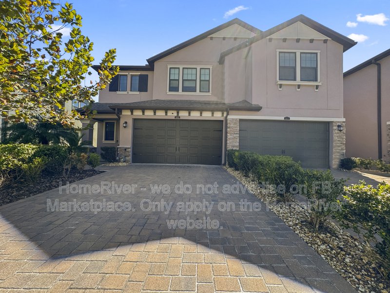 Now Available - 4901 San Martino  Dr, Wesley Chapel property image