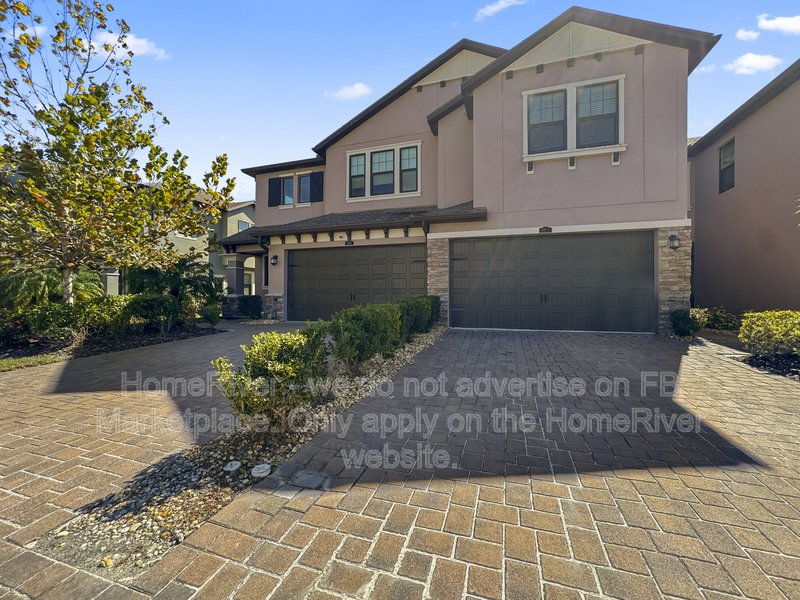 Now Available - 4901 San Martino  Dr, Wesley Chapel property image