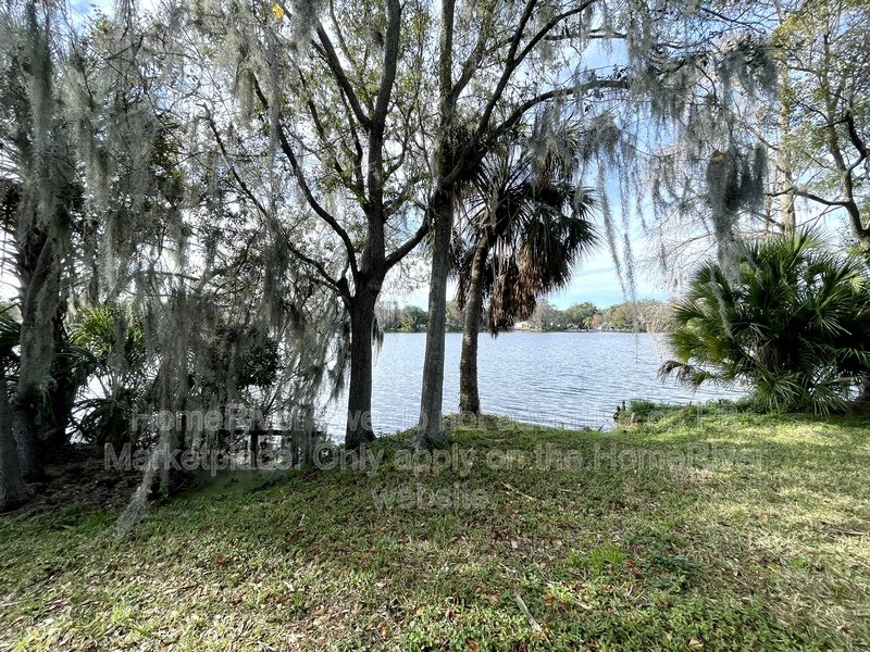 Water front &amp;amp;amp;amp; Gated Community 7344 E Bank Dr Tampa, FL 33617 property image
