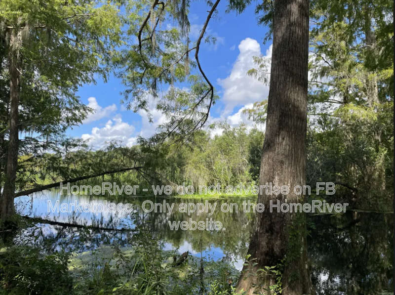 POOL HOME! 3411 W CYPRESS DR, DUNNELLON FL 34433 property image